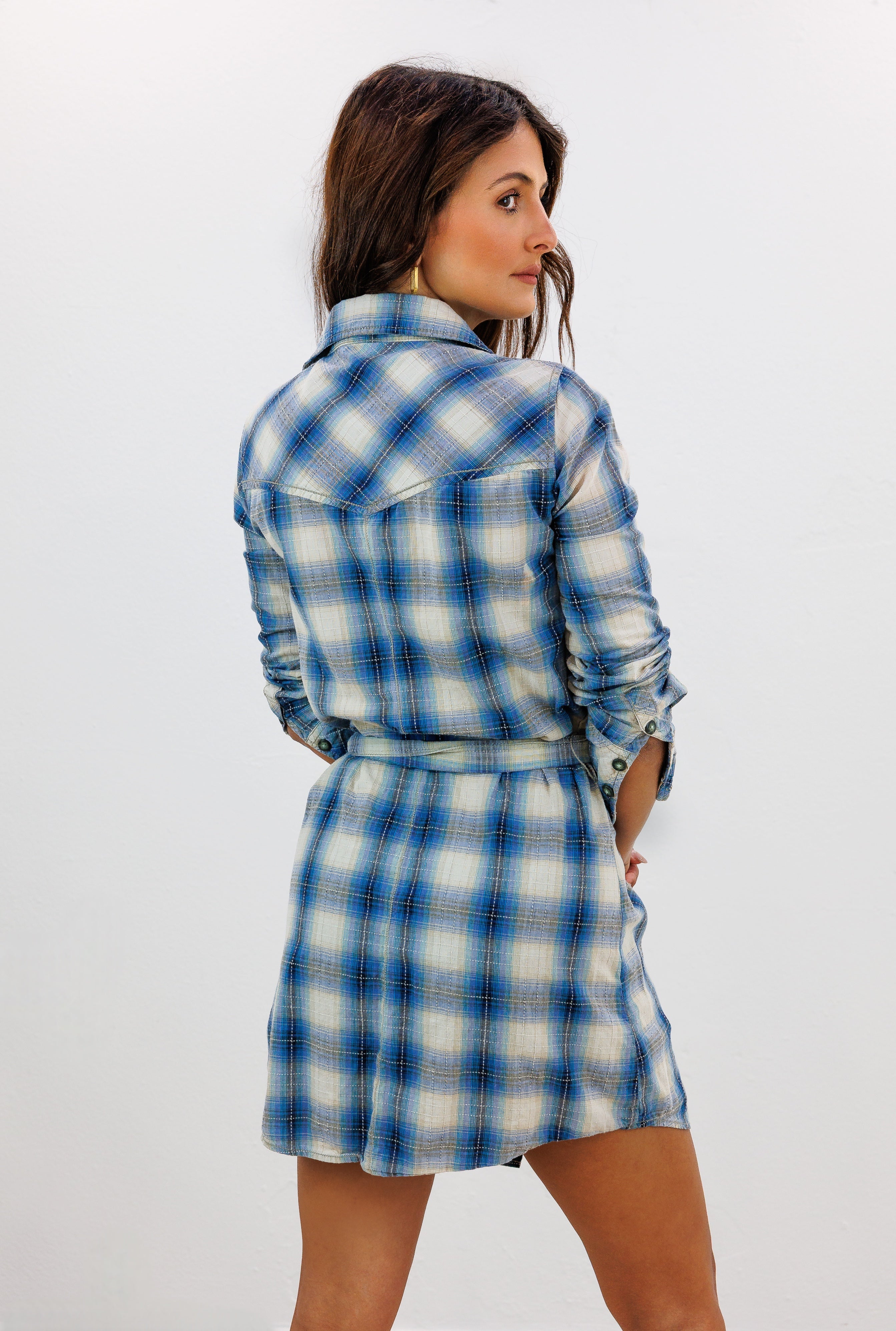 Blue Plaid Dress